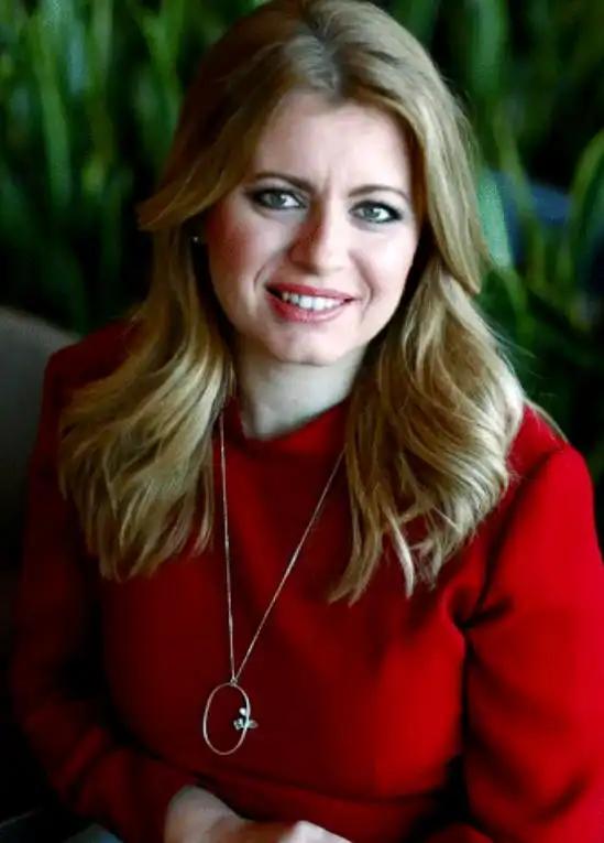 这应该是目前世界上最美的女总统了。提起世界各国的领导人，有位女总统总能靠独特气质