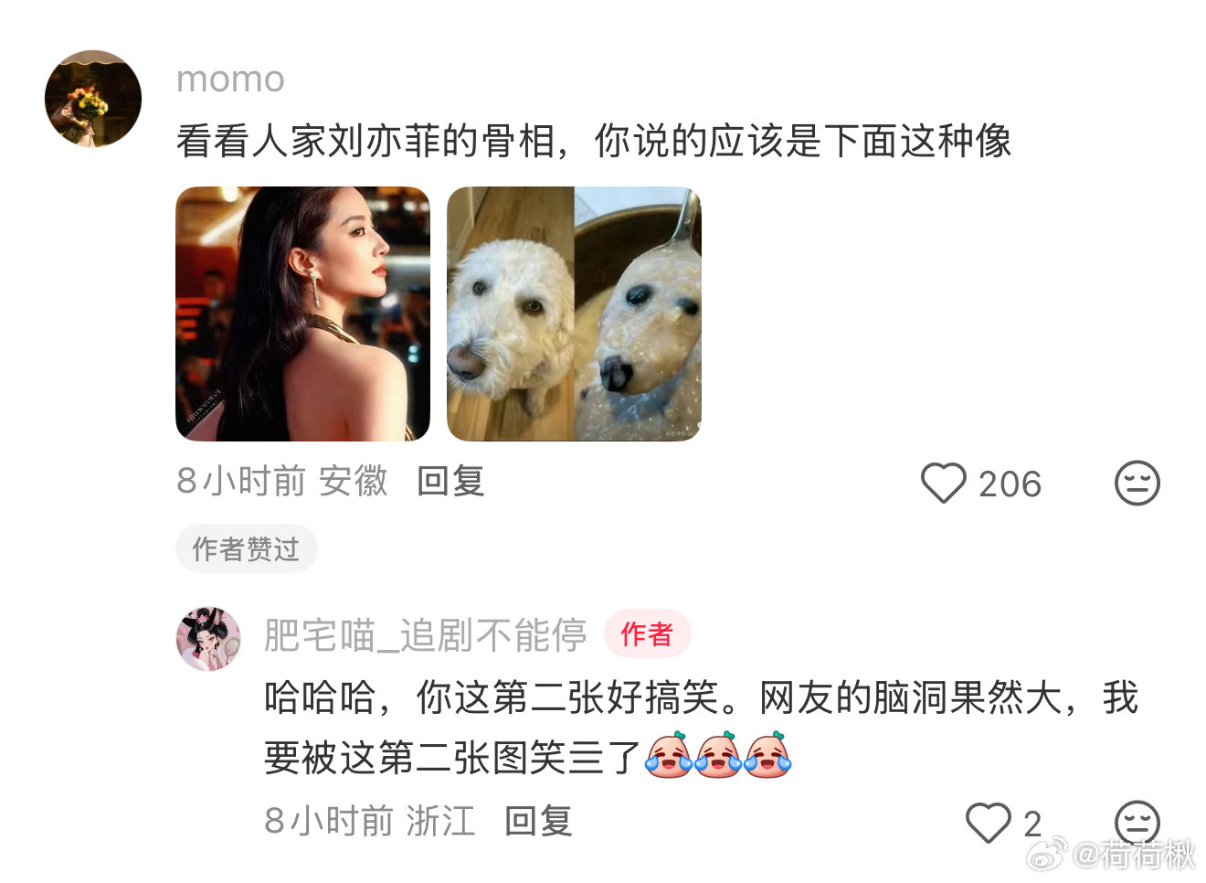 好好笑，盗版的图好形象