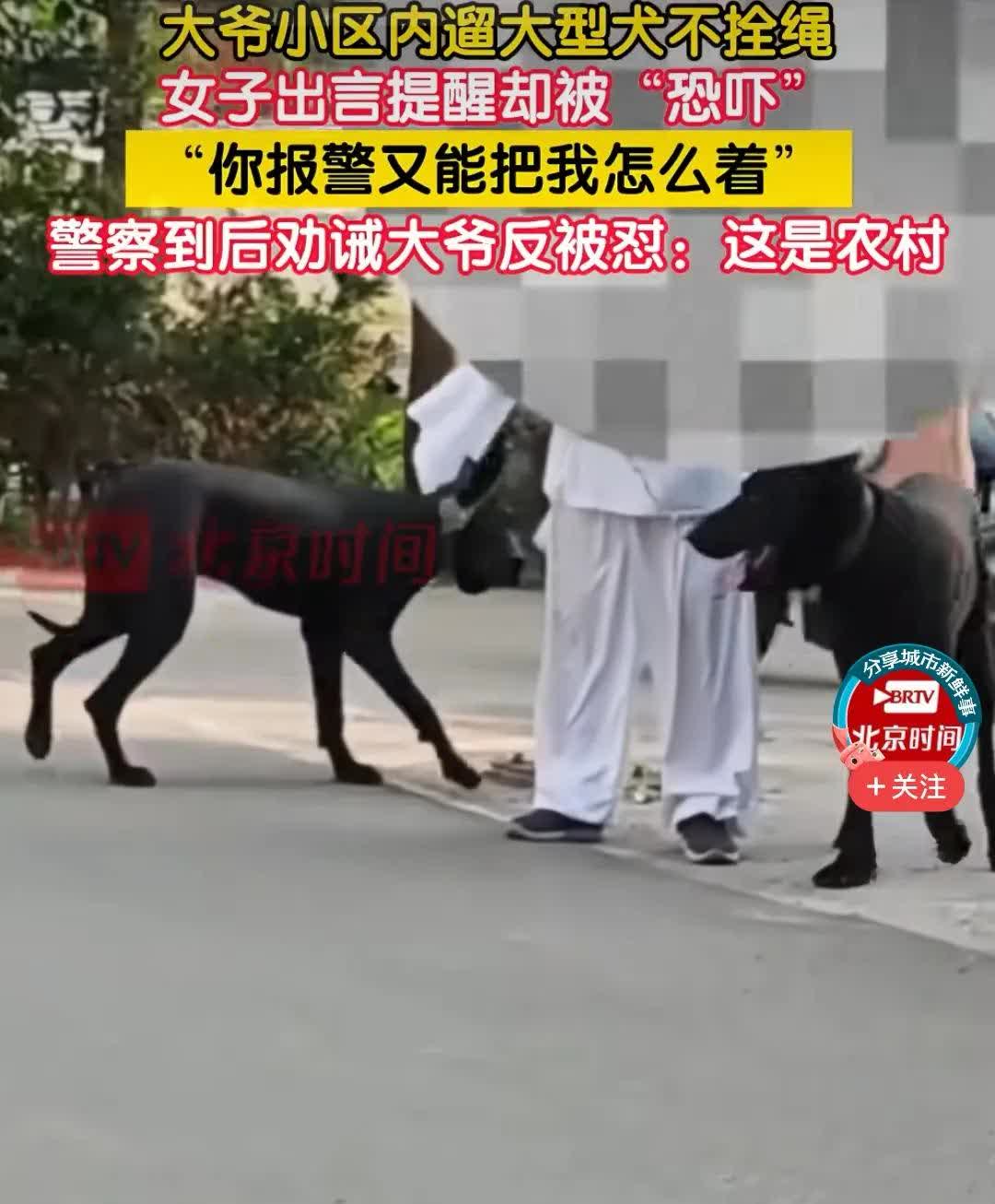 一个人两条狗，村里横着走！岁数大了，就是致胜法宝！大爷就是你大爷，惹不起