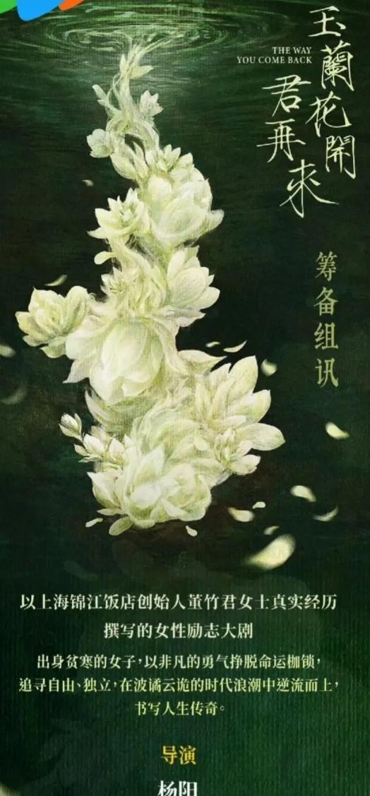 杨紫，你这次是真的有点糊涂了！为什么要演《玉兰花开君再来》里的董竹君呢？这也