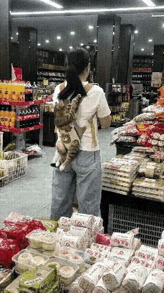 小姐姐背着猫咪逛街，也不嫌累[捂脸哭]