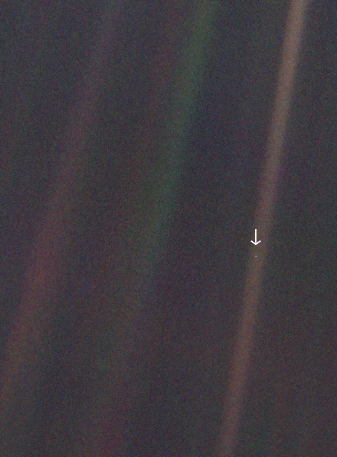 这个小小的点就是地球🌍——由旅行者1号从60亿公里外拍摄。每一场战争、每一段