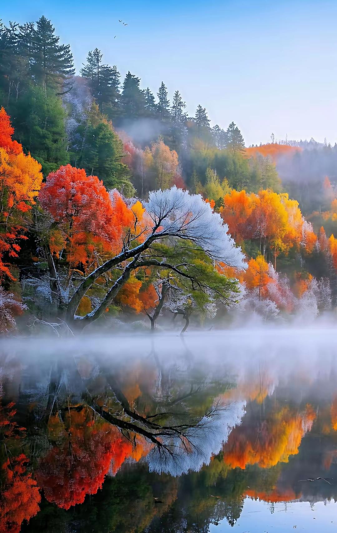 对付小人，最高级的绝招，从来不是硬碰硬、争输赢，而是这四件事——1.不纠