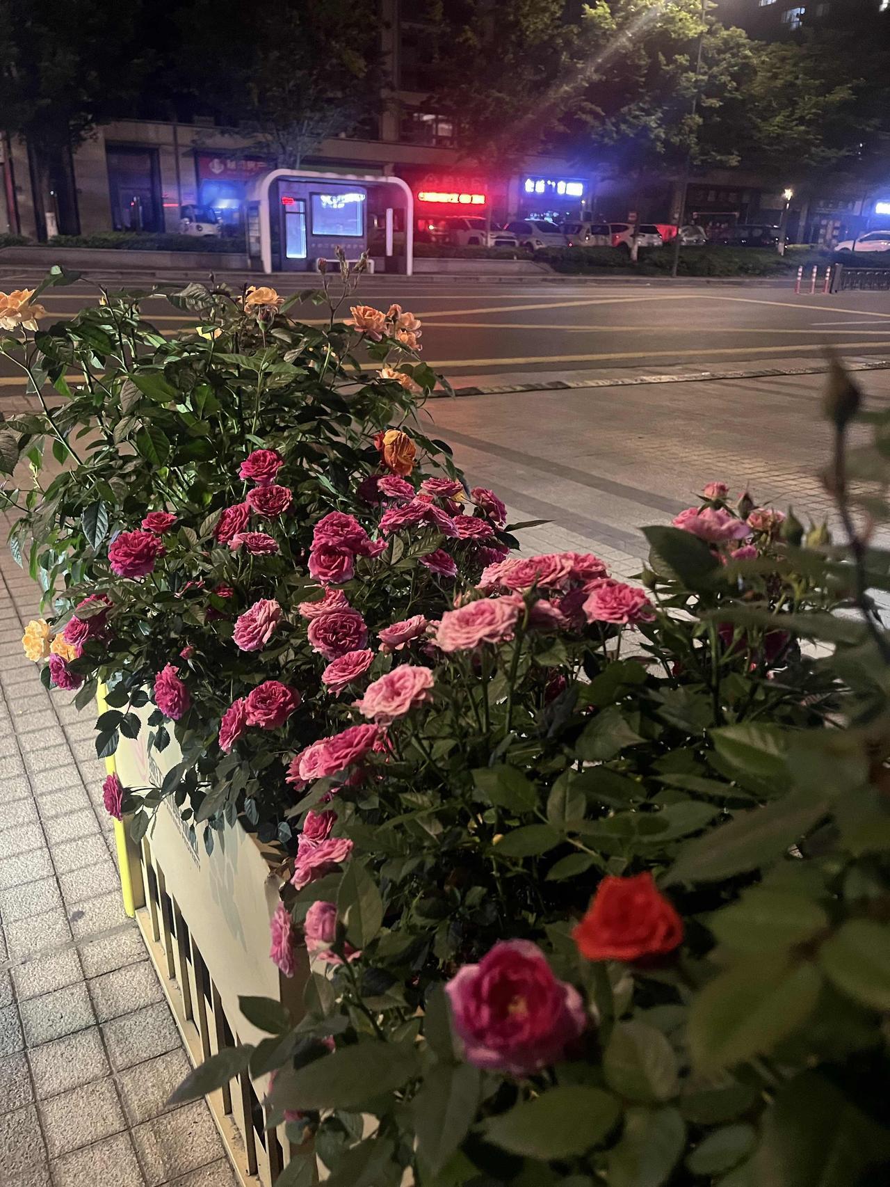 人一旦大彻大悟，最高级的养生就藏在这10件事里人这辈子，真正的成熟和养生，从