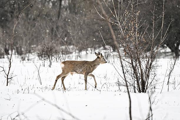 一位商业成功的大佬说：人这一生，其实只需要听三种人的话，其余都是噪音。人到一