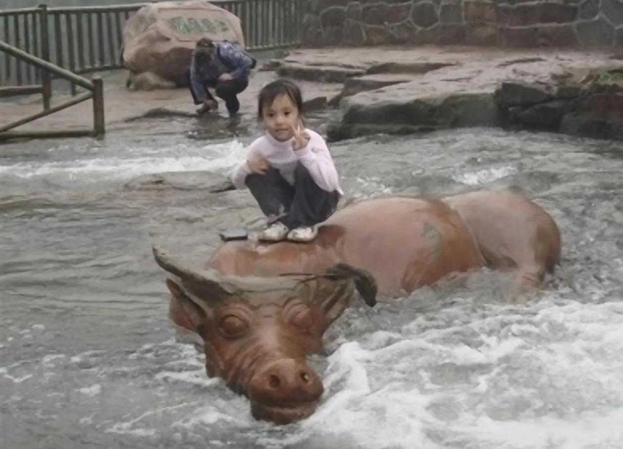 时光飞逝，小姑娘长成了大美女，而那头牛也变老了！