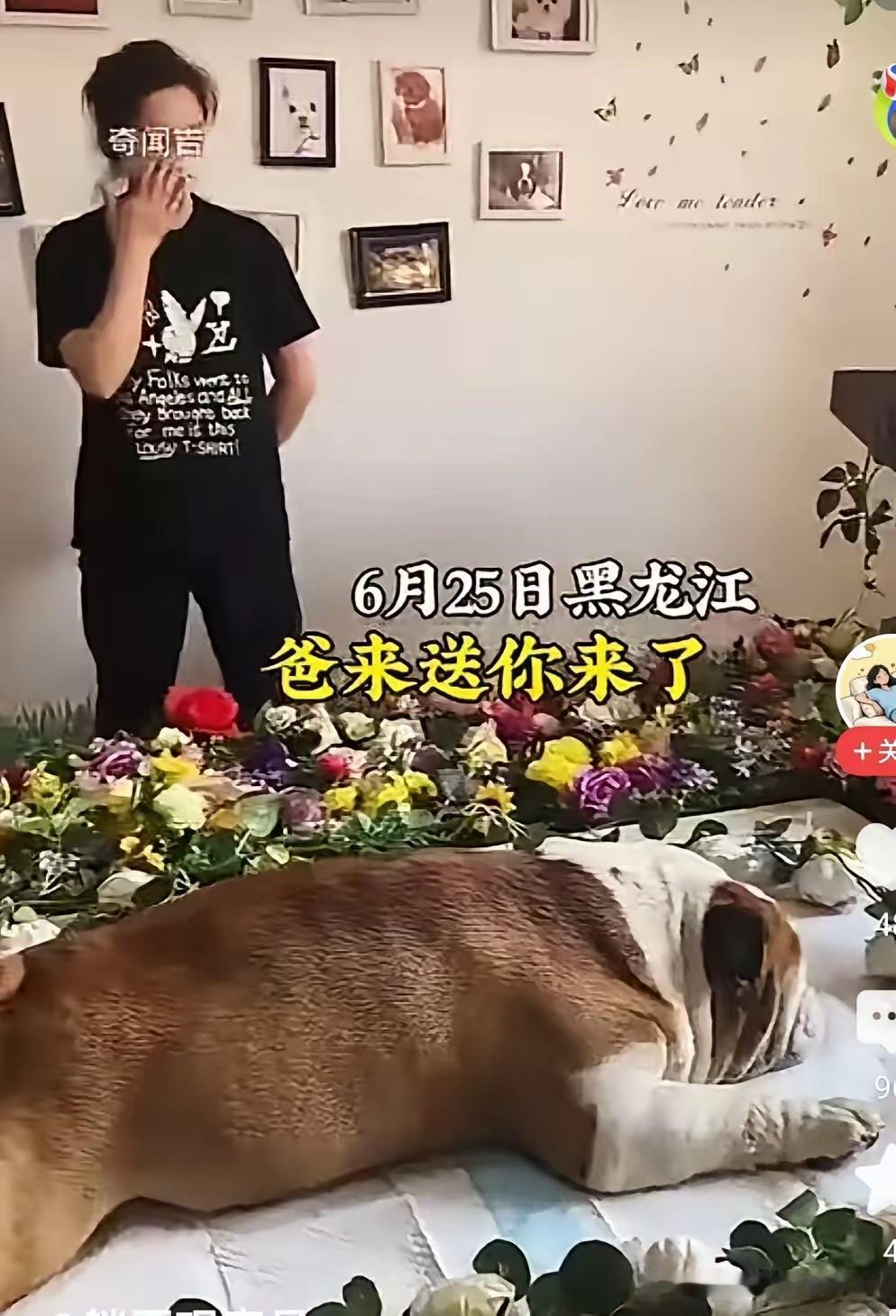 一家人最爱的狗狗死了！一家人为了表达自己的哀思，为狗狗设置了灵堂，全家痛不欲