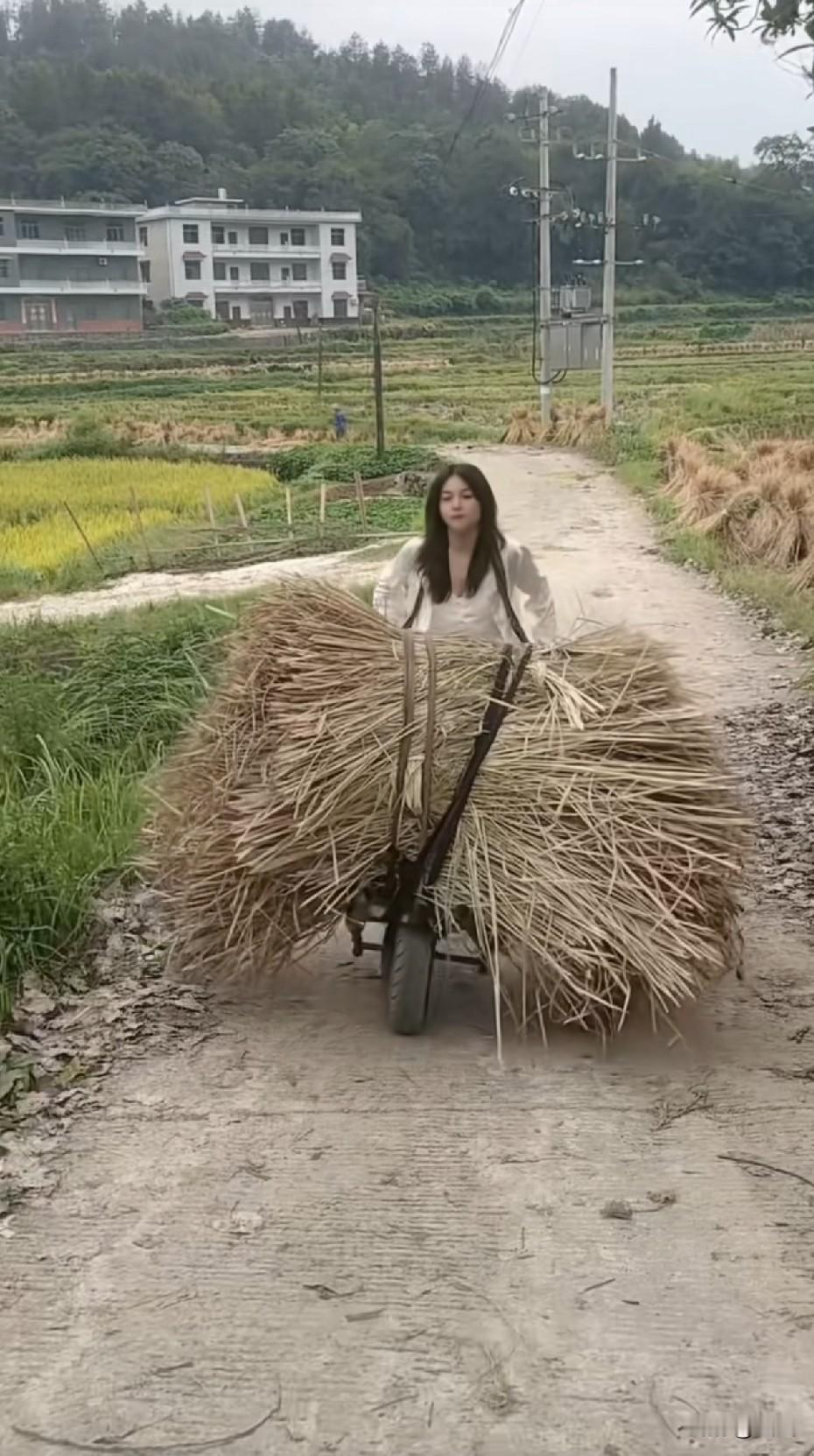 在城里当牛马，回农村老家还是牛马[呲牙笑][呲牙笑]