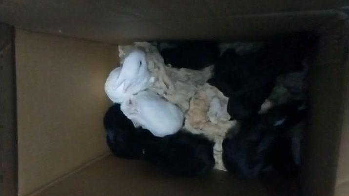 292440481089890751.jpg?id=0