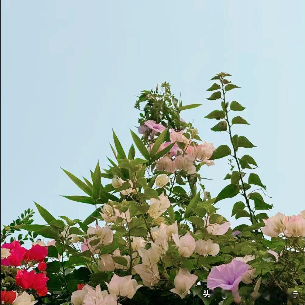 信阳市迎来新的政府主要负责同志 4月21日上午，法学博士卢希望履新该市。 