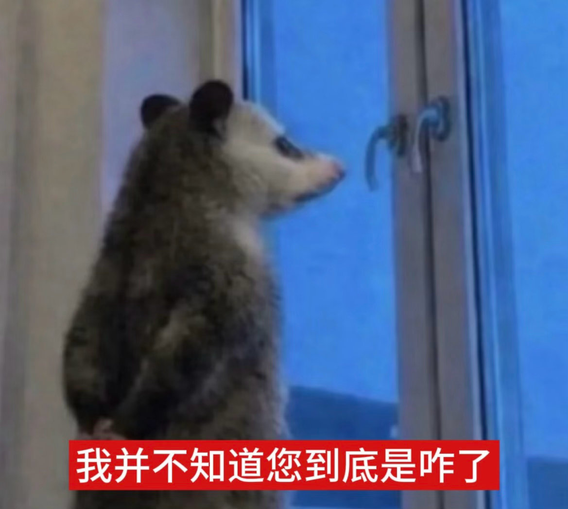 每次出事永远上升到别人身上，我不知道你们咋了