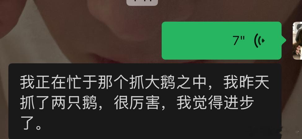 纷纷扰扰我专注抓大鹅