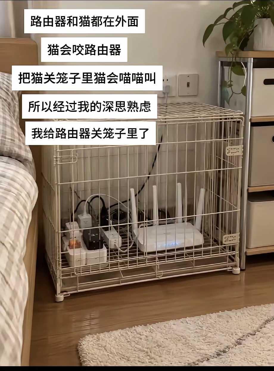 这样合理吗