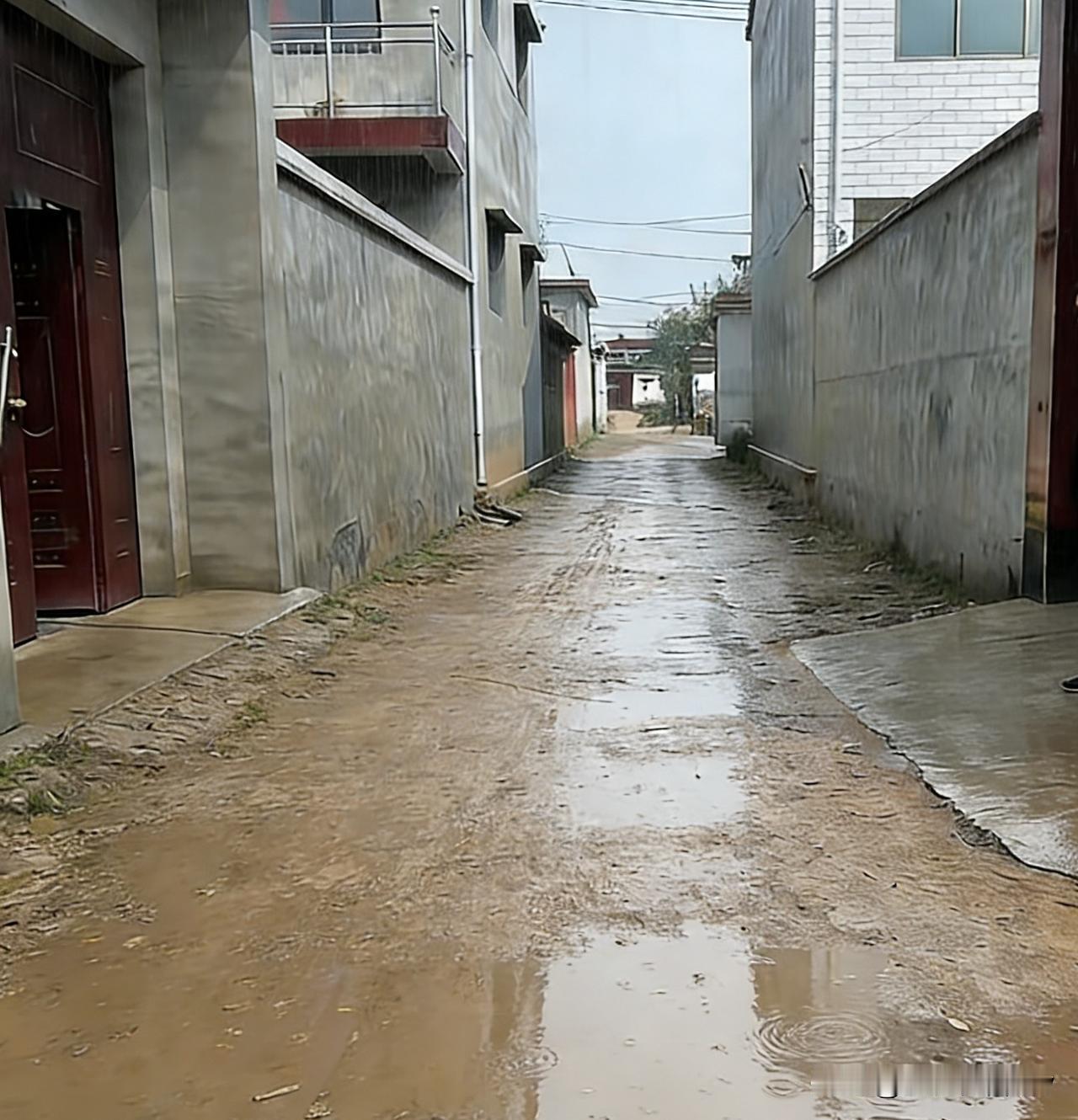 村东头那条胡同的水泥路，刚铺了一半就停了工——右边那户人家的门口，还留着半截没硬
