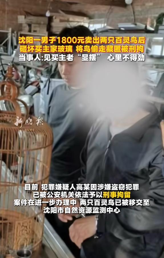 “玩不起别玩！”6月13日报道，辽宁沈阳，一大爷起来发现，自家玻璃被砸了，养了2