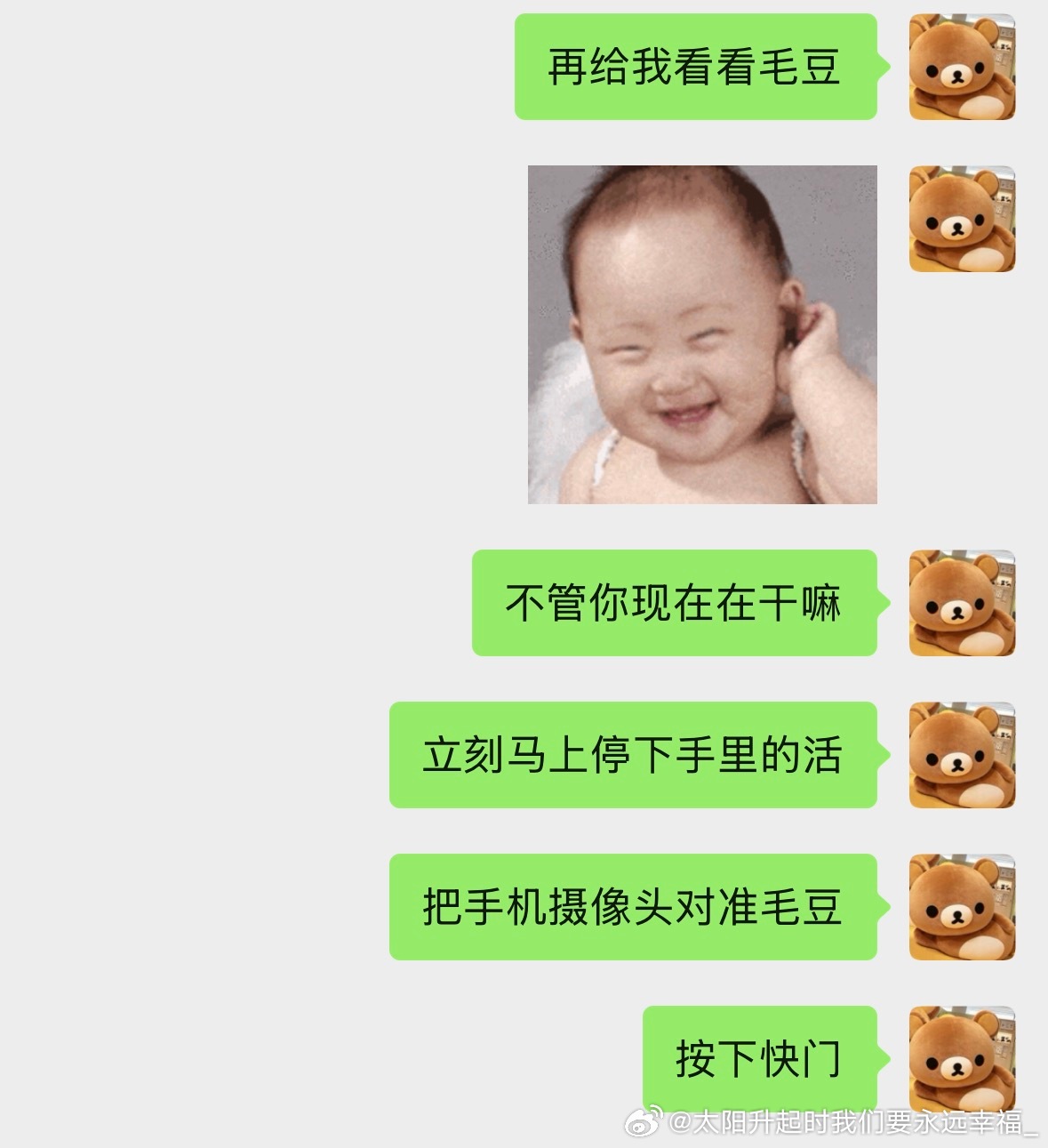 对着家里养猫的朋友我就这样：