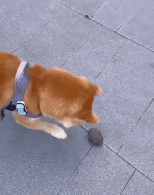 什么都能玩​​​