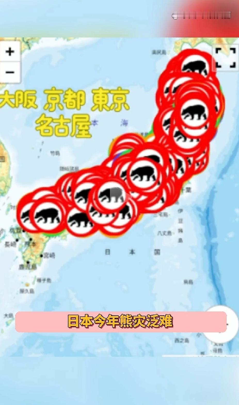日本熊开始吃人，全日本各地熊灾严重。秋田县知事说已经没有办法应付了。要不说日本人