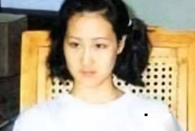 1998年震惊全国的“刑侦一号案”尘埃落定，主犯白宝山被判处死刑。而从犯谢