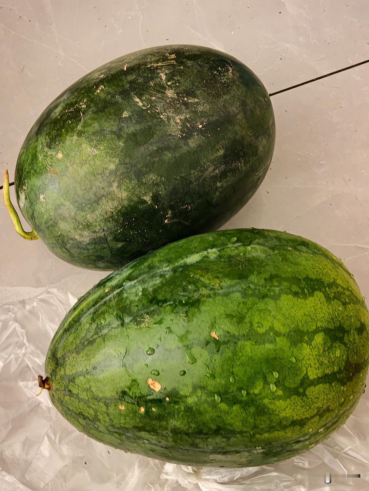 河南的西瓜真白菜价了！因为河南这一周都有大暴雨，所以西瓜开启了清仓模式，刚才路