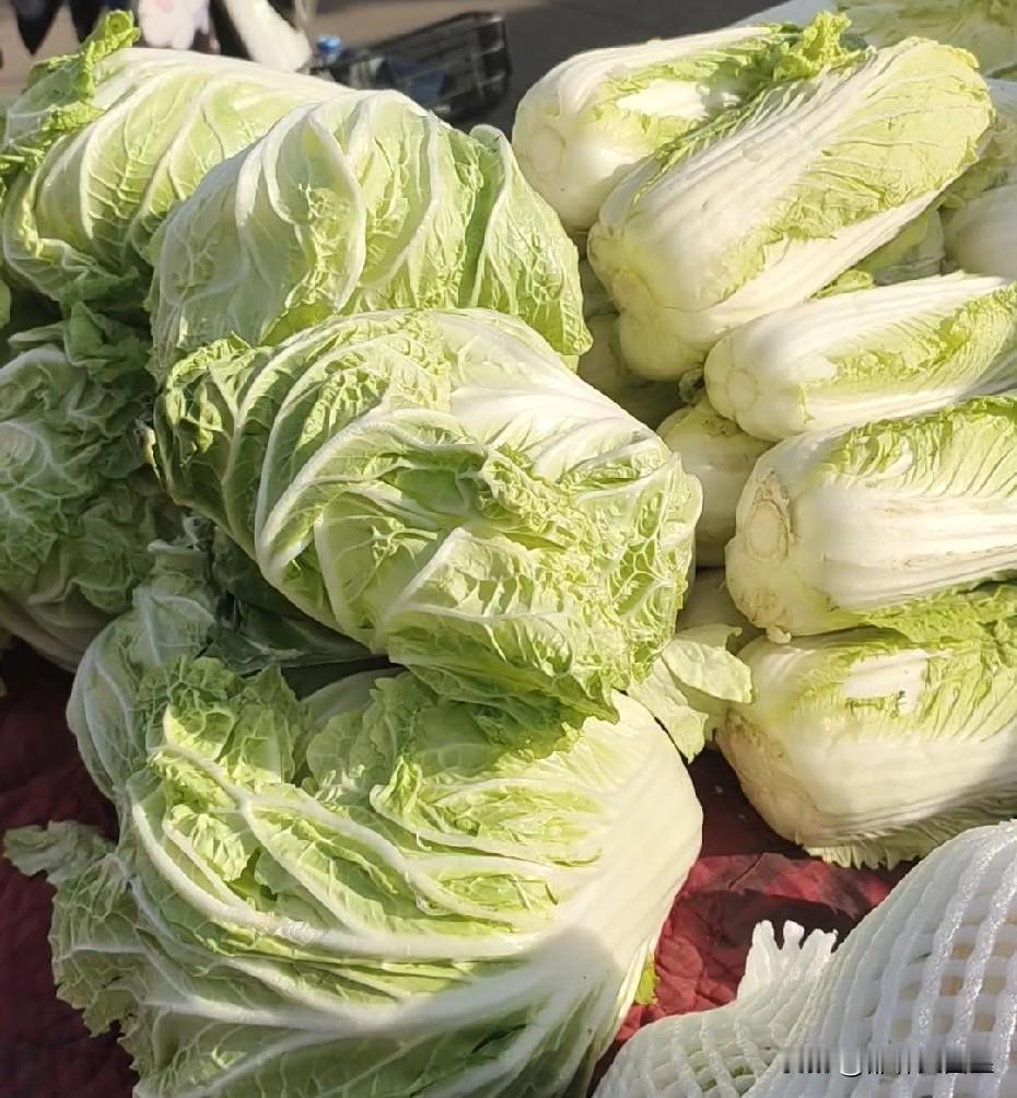 让我来给最近很火的大白菜降降温！最近一段时间，白菜价格是一天一个价，从最初的8