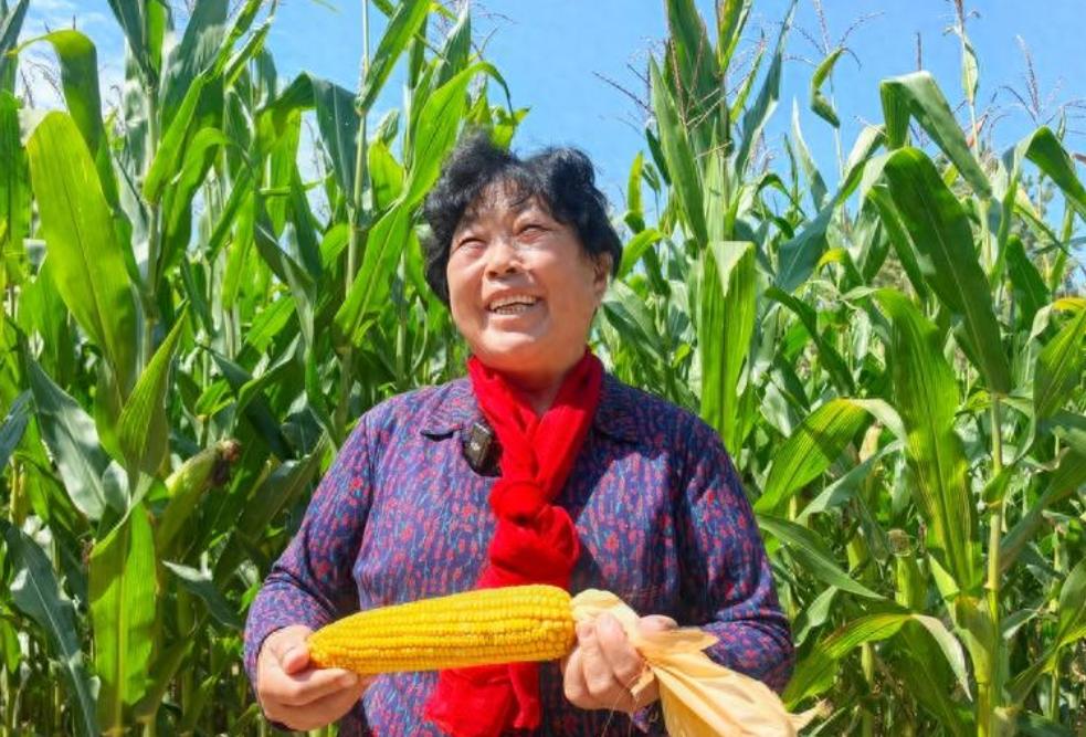 “治沙女杰”殷玉珍，如今家底厚得惊人。 800万棵树、7万亩林地，名下有一家