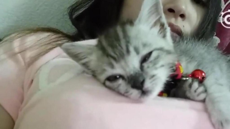 主人表示，家里的睡就喜欢她的这个位置，也是很心机了