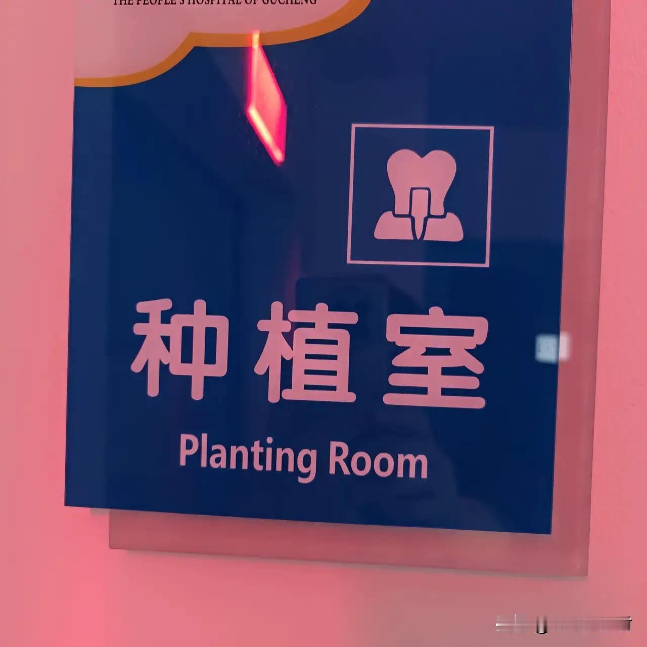 第二次种牙时，医生叮嘱要注意的事，还是发生了。手术第二天晚上，就感冒发烧。种牙