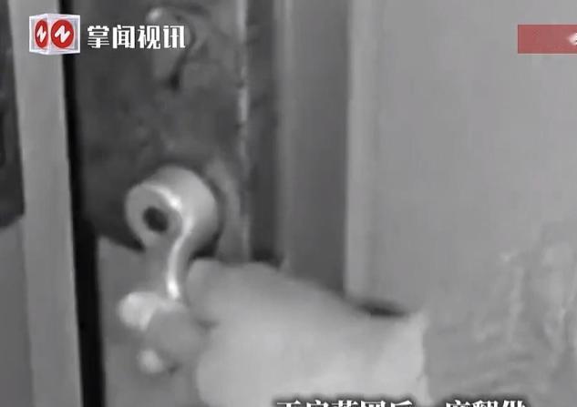 一个牛奶箱和一通电话，救了一条命陕西汉中，一个陪读妈妈差点毁在一个男人手里。