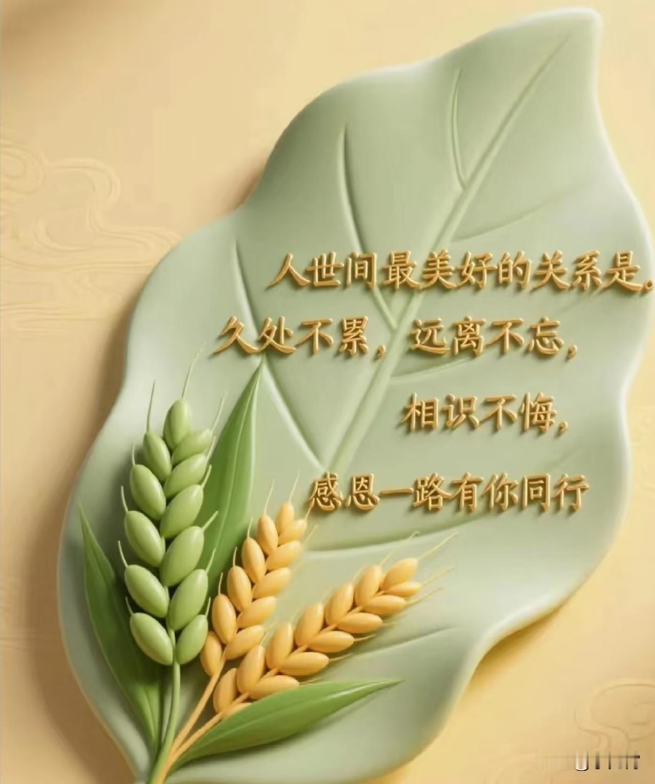 幸福是什么？幸福没有标准的答案。幸福的秘密就在于……幸福不在过去或未来，