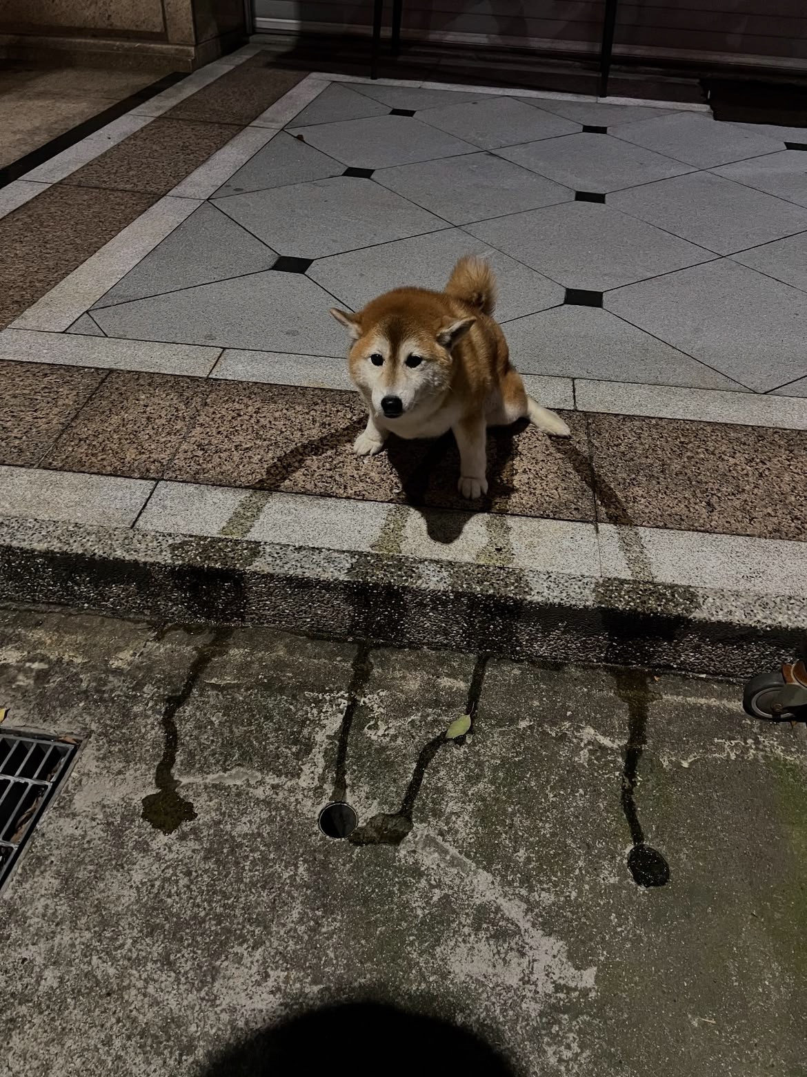 小伙子你是领地开发商是吧૮꒰˶>𖥦
