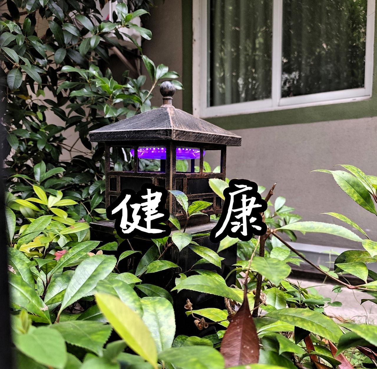 我发现最危险的不是癌症本身而是精神恍惚我总在思虑总在忧阅读中我看到一个个