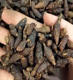 一个52岁的男人，走进诊室，六年了，那方面的问题反反复复，自己买的各种补品堆成山