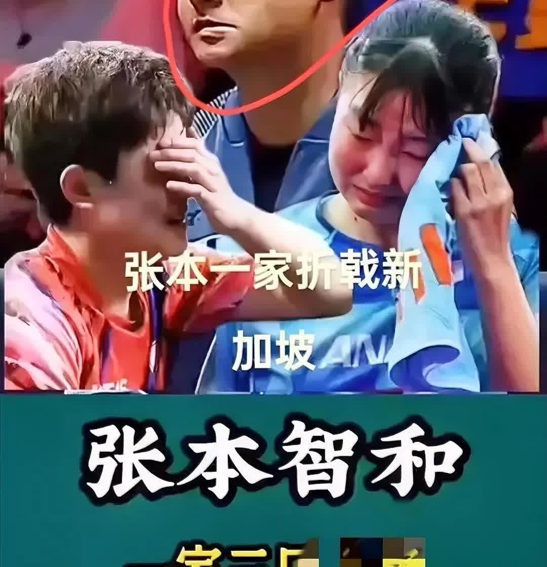 洗白？怕是没那么容易！张本智和父子网上求饶，希望中国网友别再骂了，但这事