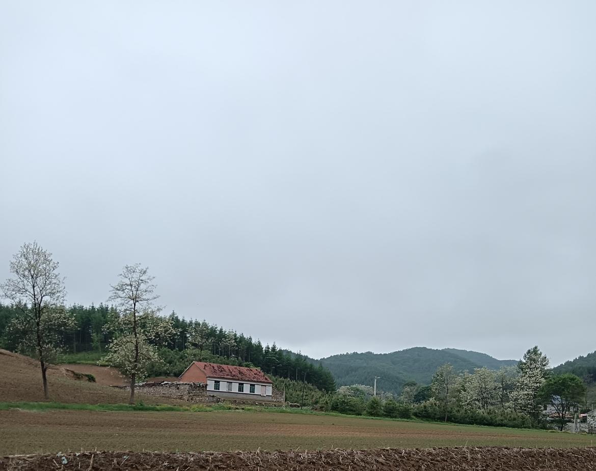 我们邻居老太太得脑梗好几年了，生活不能自理，还得老头伺候。最近这一年老头对老太太