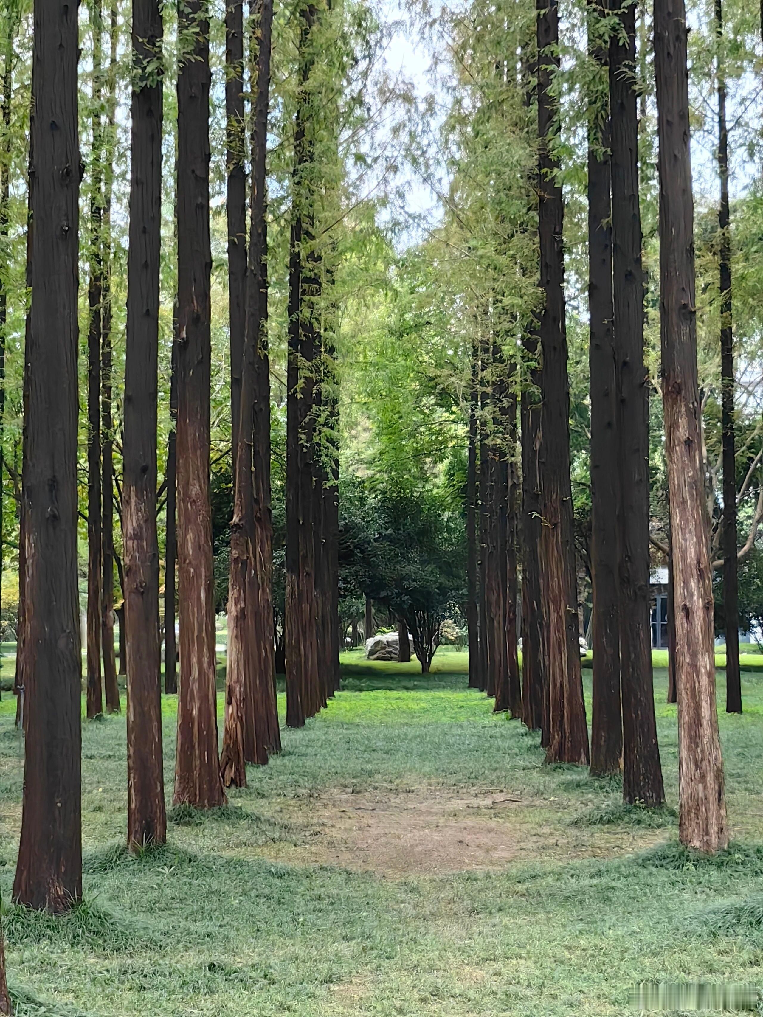 记者问乔布斯：“你觉得那些优秀的厉害的人，都有什么共同之处？”​乔布斯顿了顿回答