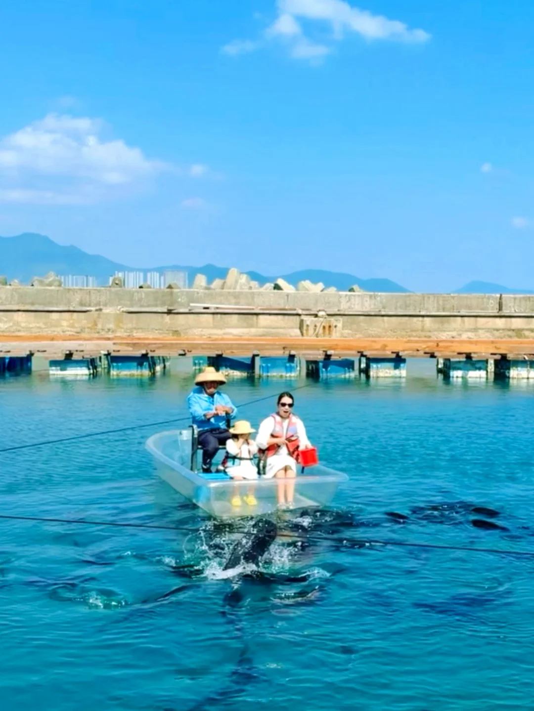 暑假陵水遛娃｜吃喝玩不费妈实用攻略✅