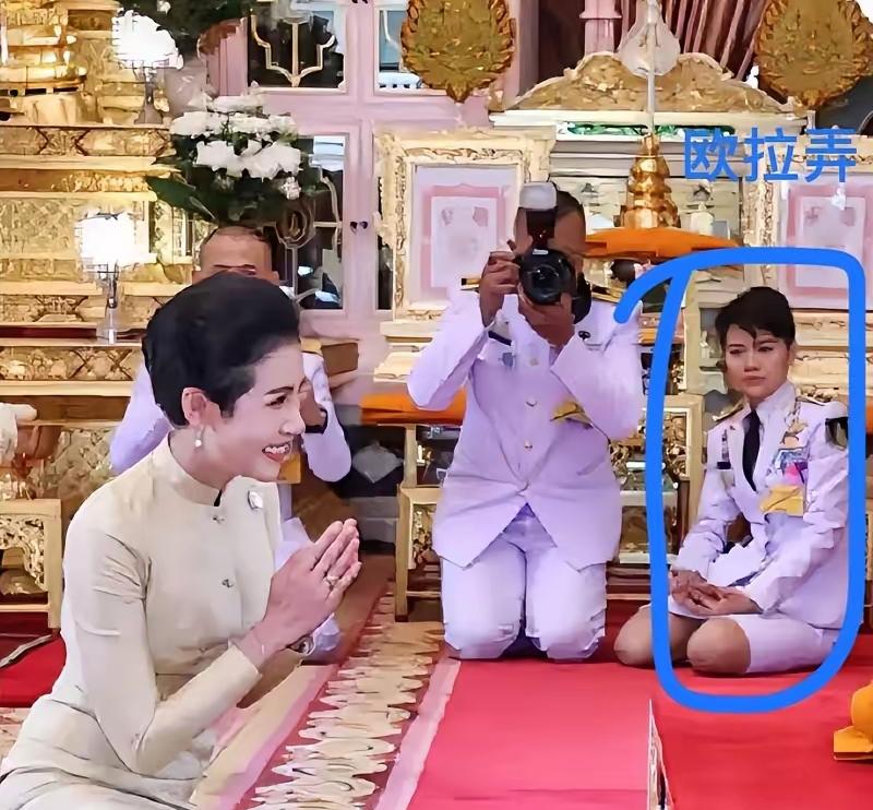 诗妮娜悔了，她是真的小看了这侍女！谁能想到，一个长相普通，能力一般的女子，能替