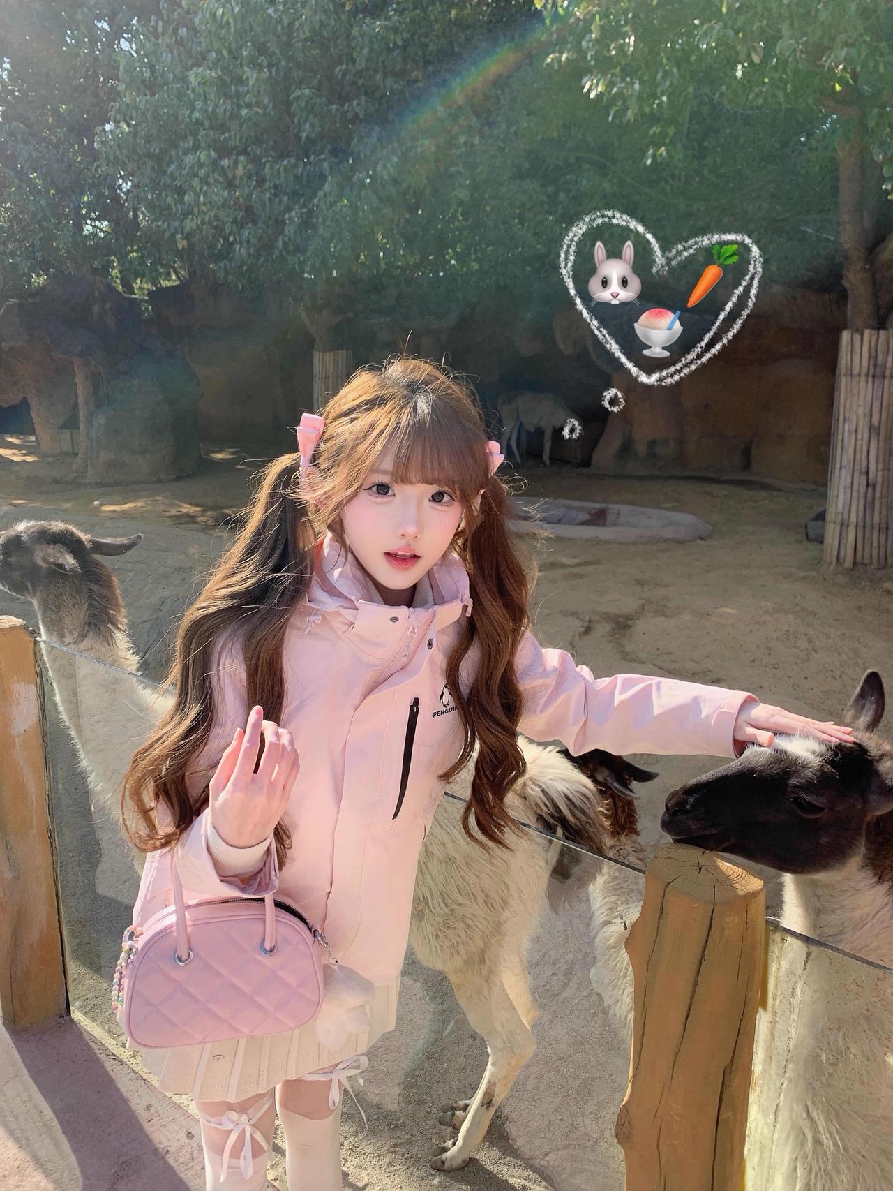 𝗛𝗮𝗽𝗽𝘆𝗭𝗼𝗼!!🦒🐨🐑🍧和挞派的杭野一日游~看到