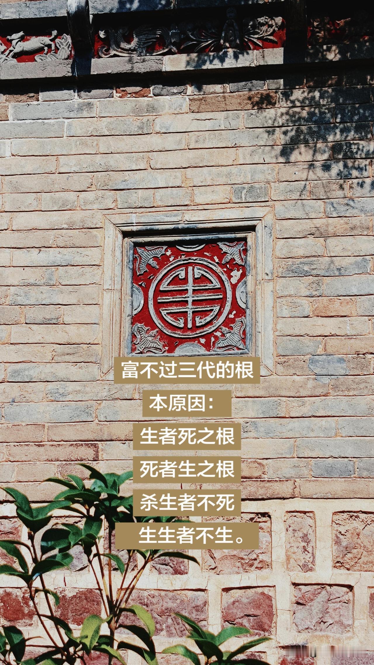 我对中医没有什么看法，中医不等于中医药，中医不等于医疗体系，所以中医这个词语是相