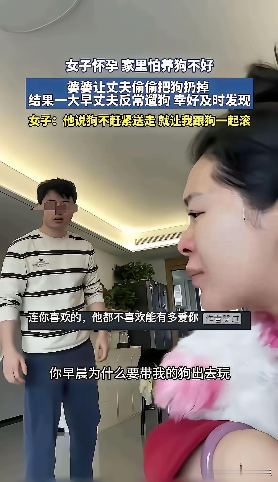 这样的老公是真的对她好吗？女子怀孕了，她的老公和婆婆想把她的宠物狗送出去，扔掉，