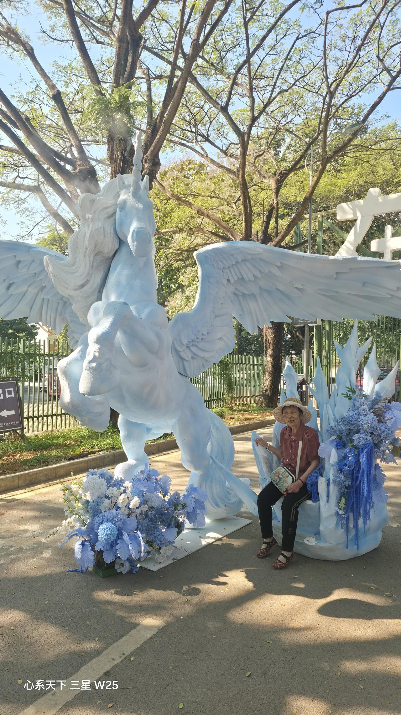 分享你随手拍的风景这张照片是最近陪老妈，由希望满那时的留影。