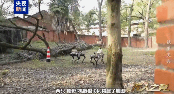 新一代机器狼首次公开，身背微型导弹、榴弹发射器，究竟有多强？科幻电影里的“钢铁