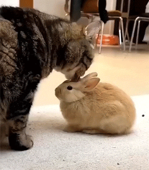 畅享90ProMax卖得好是应该的，目标用户群体太明确了。我爸用的是荣耀X5