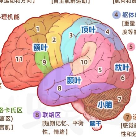 脑梗恢复的12个关键点！少做一个，可能倒退好几个月一，用药不能停。降压、