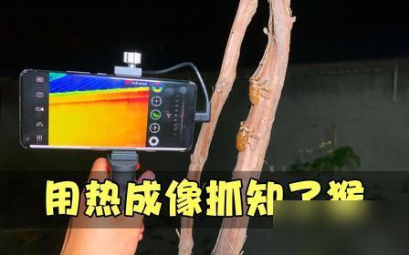 心态崩了！7月8日，山东抓知了猴的村民彻底被整破防。说真的我要是当地靠抓知了