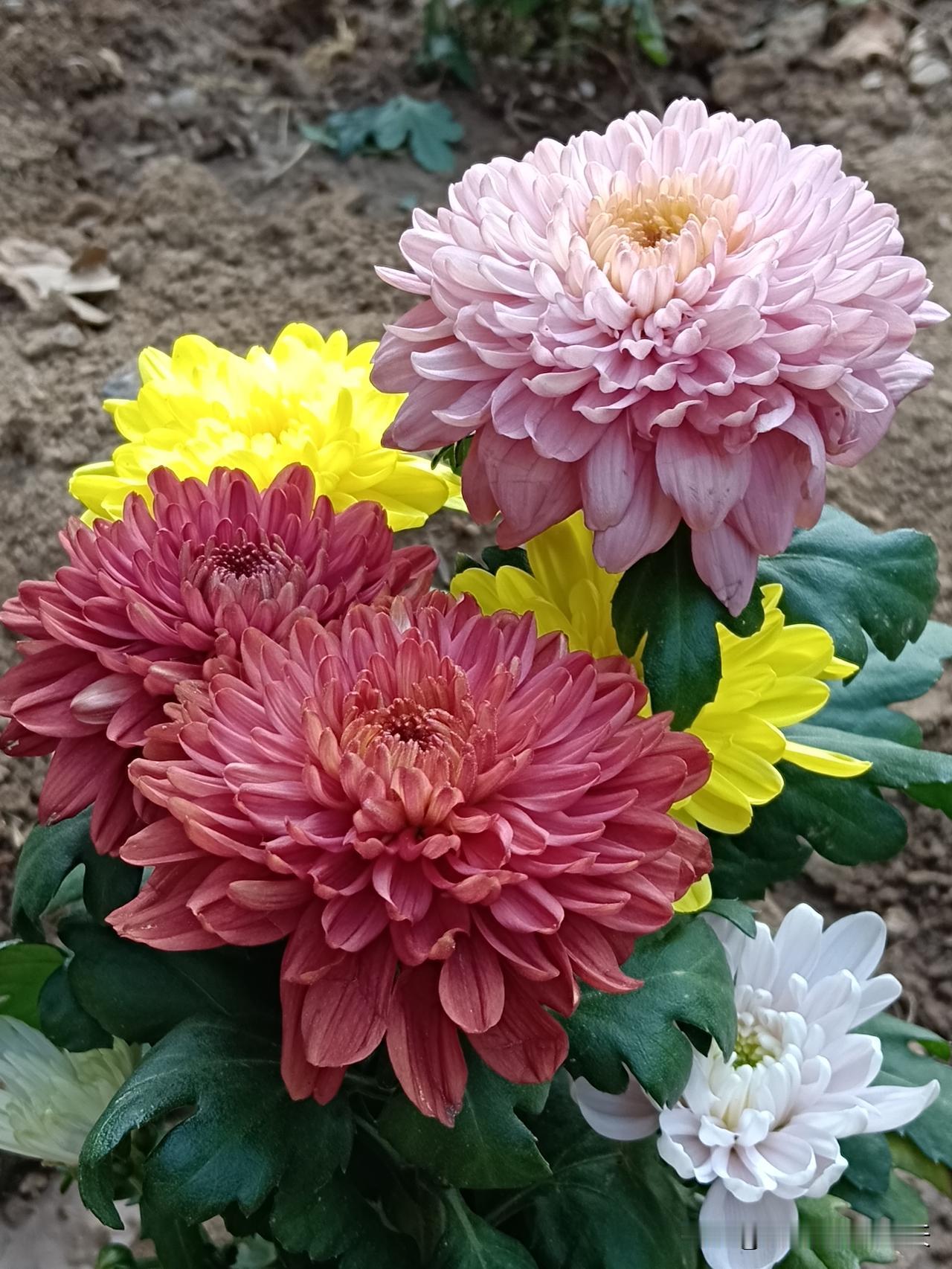 出生最佳时辰：1.子时（23点—01点）：千金难买子时命，天生富贵命格。