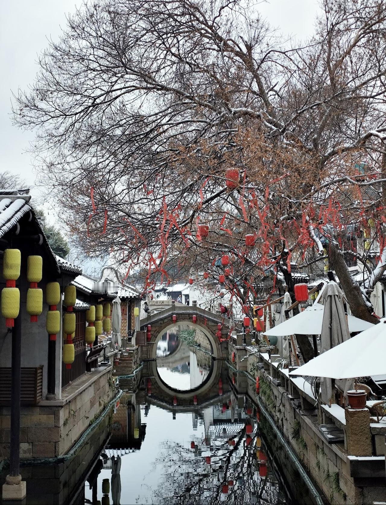 雪后的惠山古镇真是美到失语！“松杉如立密当门，长在山中管送迎。栖石草根留雪在