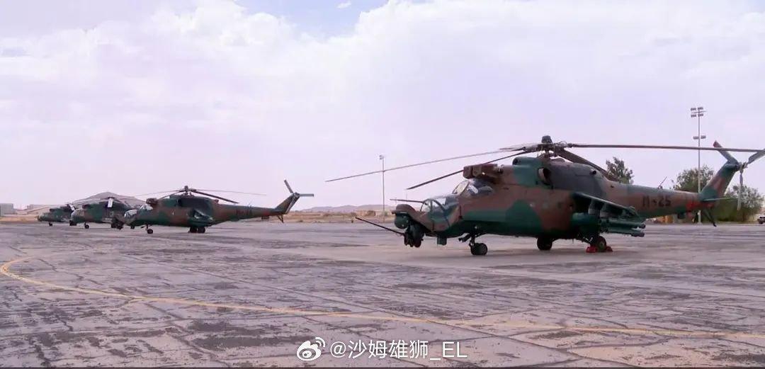 阿尔及利亚向尼日尔军队赠送了四架武装直升机和配套的装备弹药，其中包括2架米-24
