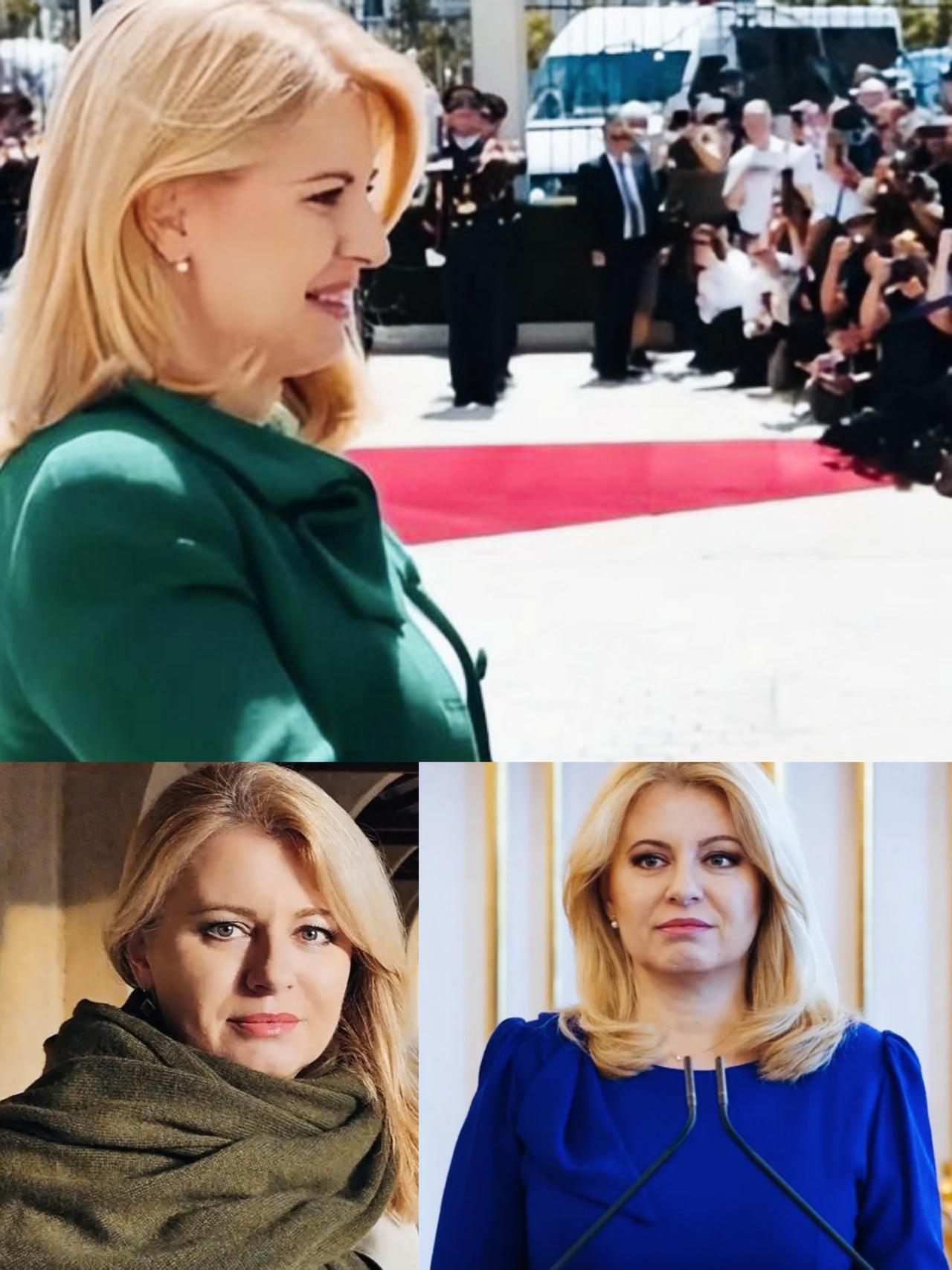 斯洛伐克前总统苏珊娜不仅有漂亮的颜值，气质也非常的优雅！苏珊娜的颜值在欧洲女性